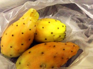 spiselig kaktus, kaktus knop, spiselig kaktus knopper, spiselige kaktus knupper, spis en kaktus, tyrkiske specialiteter, specialiteter fra tyrkiet