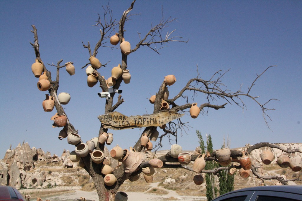 Pottetræ_cappadocia