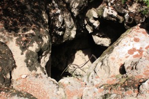 natur i tyrkiet, blog om alanya, blog om tyrkiet, manavgat floden