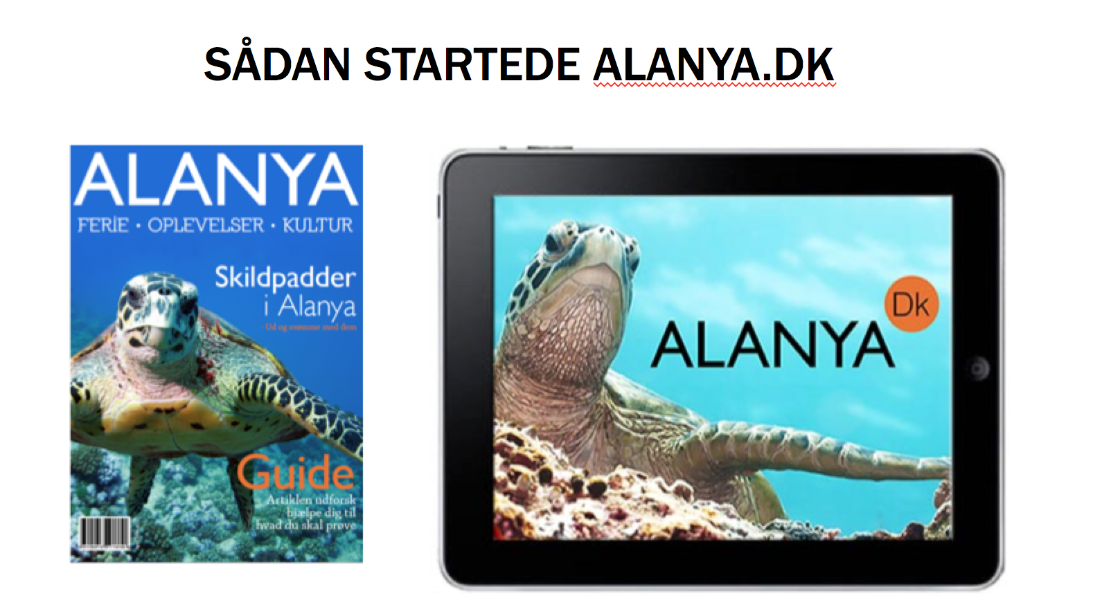 alanya.dk, dansk firma i tyrkiet, dansk firma i Alanya, foredrag om danske firmaer i udlandet,