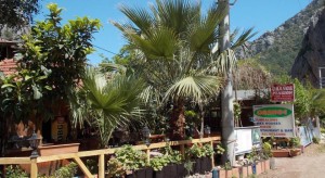 det brændende bjerg, temer, oplevelser i kemer, olympos, blog om Tyrkiet, dansk i tyrkiet