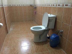 Tyrkisk bryllup, toilet tyrkiet