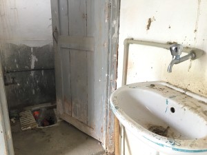 Tyrkisk bryllup, toilet tyrkiet