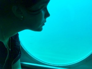 ubåd alanya, alanyas ubåd, nemo ubåd, ubåden nemo