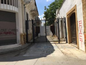 cypern, nordcypern, green line, grænsen mellem tyrkiet og grækenland, blog om cypern, græske side af cypern, tiger på cypern, cyprus, south cyprus