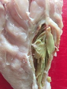 grøn materiale i kyllingebryst, byld i kyllingekød, byld i kyllingekød, betændelse i kyllingekød, artiskok i kyllingebrystet, dårligt kyllingekød, fremmede materiale i kyllingekøde