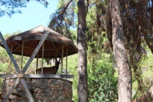 bjergged, zoologiske have tyrkiet, zoologiske have antalya