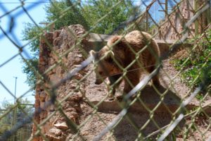 zoologisk have alanya, oplevelser i antalya, antalya oplevelser, zoologiske have tyrkiet, zoologiske have antalya