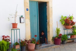 Det sociale boligbyggeri Nicosia, nicosia seværdigheder, Saman Bahçe nicosia, Saman Bahçe nordcypern, nordcypern seværdigheder, nordcypern guide,