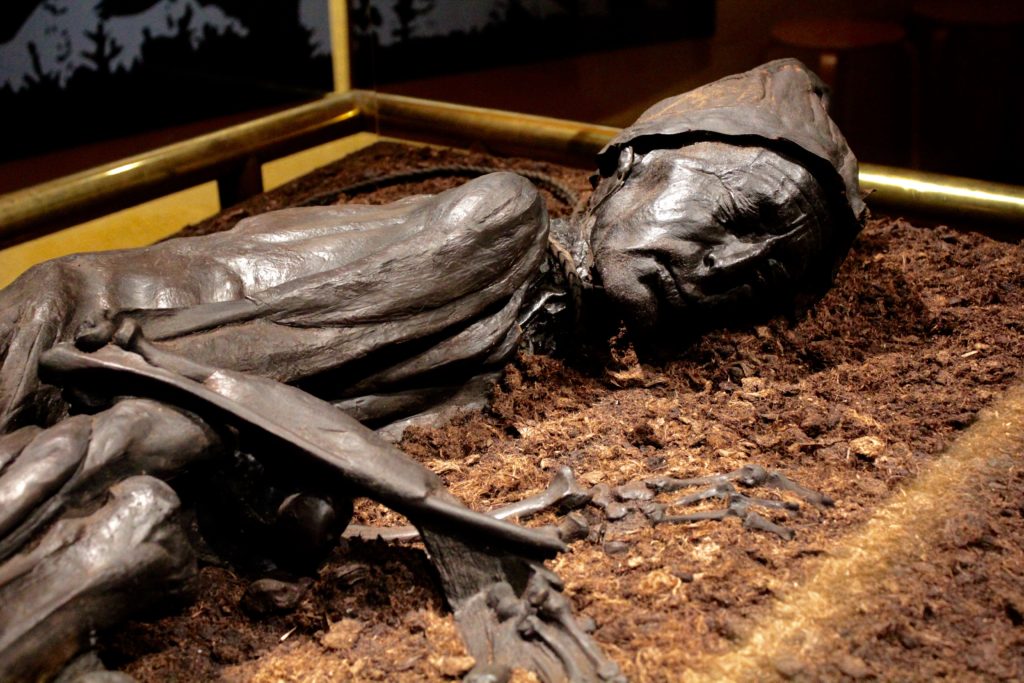 tollundman, tollundmanden, silkeborg museum, moselig tollundmanden, verdens berømdt moselig, verdens ældste mand, rejseblog, rejseblog danmark, seværdigheder i silkeborg, silkeborg seværdigheder, silkeborg museum, tollundmanden død