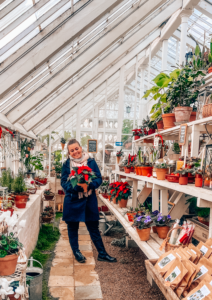 Drivhuset Den gamle by, Jul i den gamle by, Den gamle by i Århus, Jul i Århus, Danske museer, guide til Den Gamle By, Jule oplevelser i Århus, Juleoplevelser i Aarhus, juleoplevelser i Jylland, Seværdigheder i Århus, Seværdigheder i Aarhus,