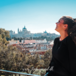 madrid, rejseblog madrid, danish travelblogger, travelblogger denmark, rejseblogger, oplevelser i madrid, seværdigheder i madrid