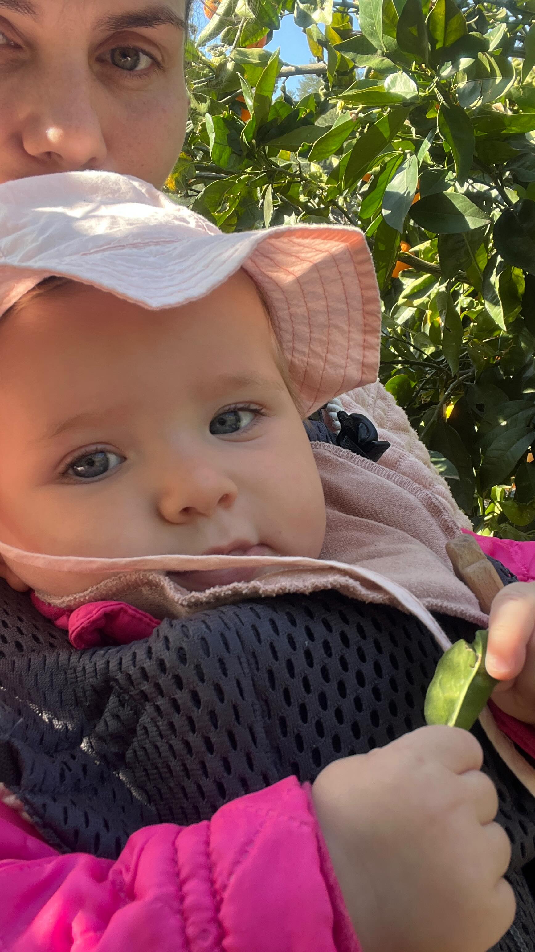 We change our entire lives and choose to build a garden that could sustain our entire family. Today I picked our own organic oranges with 8 month old Melissa and her joy was the best thing of it all! 

#turkishvillagelife #turkishvillage #selfsustainable #orangepicking #danishturkish