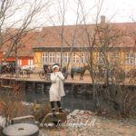 Den gamle by, museum i århus, seværdigheder i århus, rejseblog, dansk rejseblog, rejseblog århus, oplevelser i århus, museum den gamle by, botantisk have, århus museer, musejum århus, openair museum, århus,