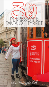 Istanbul, rejseblog istanbul, fakta om Tyrkiet, viden om tyrkiet, det vidste du ikke om tyrkiet, tyrkiets største by, fakta om Tyrkiet, rejseblog tyrkiet, Dansih travelblogger, danske rejseblogs