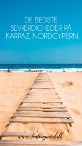 Seværdigheder på Nordcypern, Golden beach, Golden Beach Nordcypern, Dipkarpaz, karpaz, Cypern Golden beach