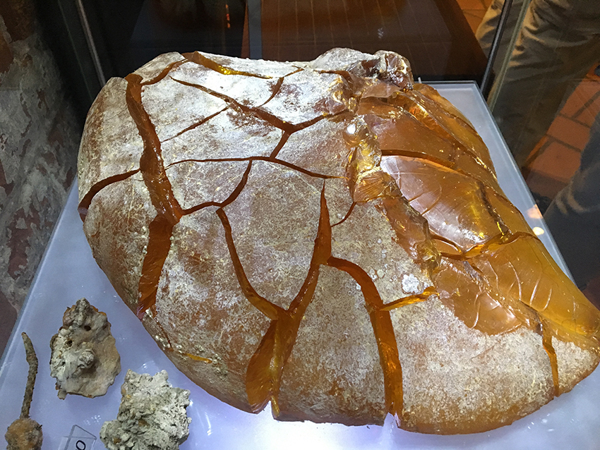 gdansk, Seværdigheder i Gdansk, Gdansk polen, guide til Gdansk, gdansk dansk guide, seværdigheder i Polen, Polen seværdigheer, Oplevelser i Gdansk, rejser til Gdansk, Fly til Gdansk, rav museet gdansk, amber museum gdansk,