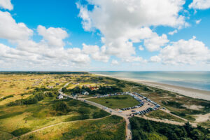 Blåvand, de fire muldyr bunkers, heste bunkers, blåvand strand, sjove bunkers, bunkers dyr,