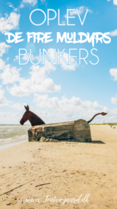 Blåvand, de fire muldyr bunkers, heste bunkers, blåvand strand, sjove bunkers, bunkers dyr, bunkers fra anden verdenskrig,