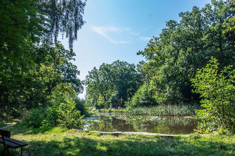 Grå myr, søer i Gudhjem, krebs i Gudhjem, Naturoplevelser i Gudhjem, Gudhjem oplevelser,