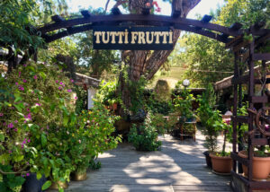 restaurant Kemer, oplevelser i Kemer, tyrkisk restaurant, restaurant Kemer