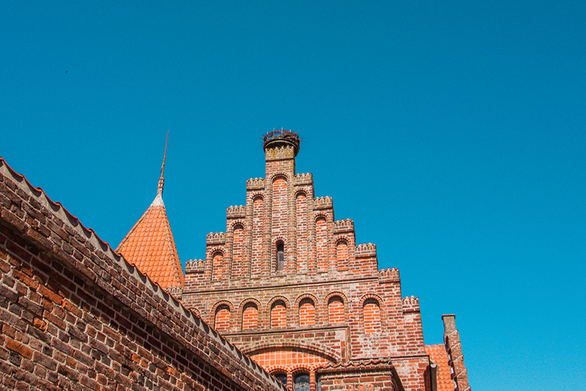 Ribe rådhus, Det gamle Rådhus, Storke i Danmark, Storkereder, Storke i Ribe, 