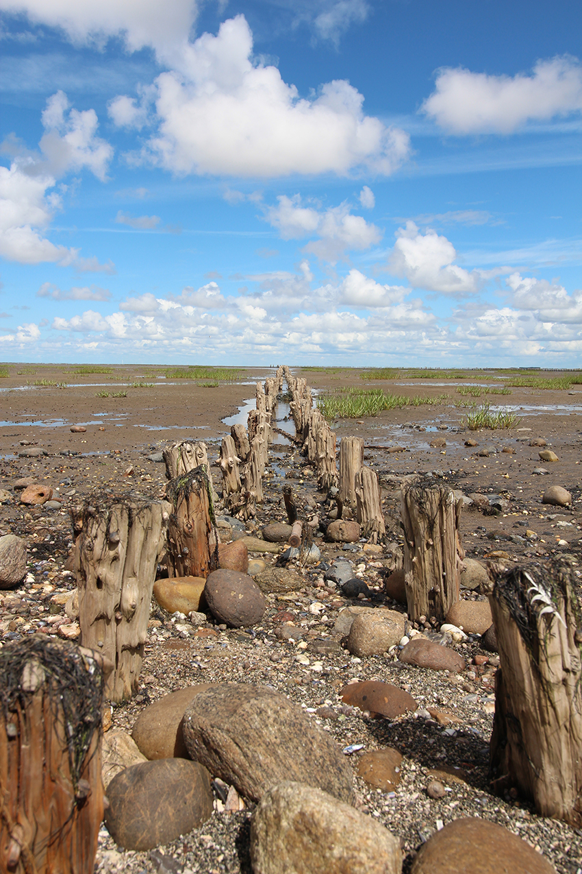 Vadehavet, Vadehavet i Danmark, Unesco Danmark, havet i Danmark, visit Rømø, Seværdigheder i Vestjylland, Vestjylland Seværdigheder