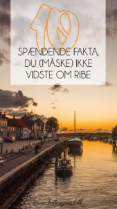 Fakta om Ribe, ting du ikke vidste om Ribe, Ribe, Ribe Danmark, Seværdigheder i Ribe, Seværdigheder i Vestjylland, Fakta om Danske byer, Opleveser i Ribe,