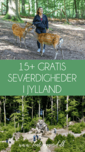 Gratis seværdigheder i Jylland, Gratis seværdigheder i midtjylland, gratis seværdigheder i Nordjylland, Dyrehaven, dyrehave århus, Marselisborg dyrehave, Dyrehaven i århus, Århus dyrehave, Marselisborg dyrehave hjorte, Hjorte i Århus, seværdigheder i Aarhus,