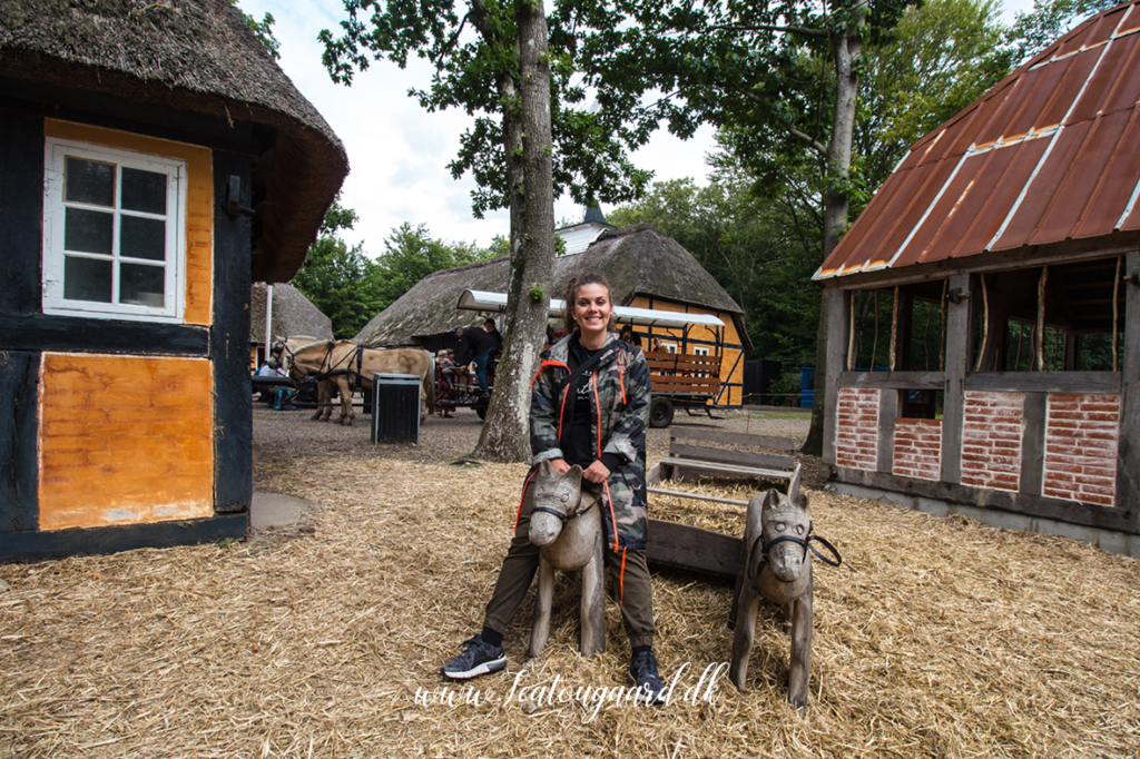 Hjerl Hede, Hjerl hede friluftmuseum, seværdigheder på vestkysten, seværdigheder i vestjylland, vestjylland oplevelser, oplevelser i vestjylland, oplevelser på vestkysten, open air museer, landbrugsmuseum, museer med huse,