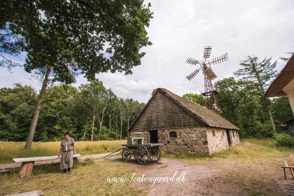 Hjerl Hede, Hjerl hede friluftmuseum, seværdigheder på vestkysten, seværdigheder i vestjylland, vestjylland oplevelser, oplevelser i vestjylland, oplevelser på vestkysten, open air museer, landbrugsmuseum, museer med huse,