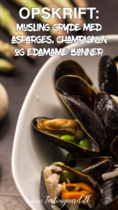 musling gryde, belgiske musling gryde, gryderet med muslinger, udenlandske opskrifter, opskrifter på udenlandske retter, mad med blåmuslinger, opskrifter med blåmuslinger, spændende opskrifter, musling gryde, udenlandske gryderetter