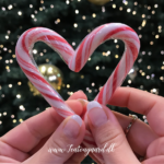 Nytår i Alanya, nytår i karantæne, nytår i Tyrkiet, Jul i Tyrkiet, Jul, nytårs planer