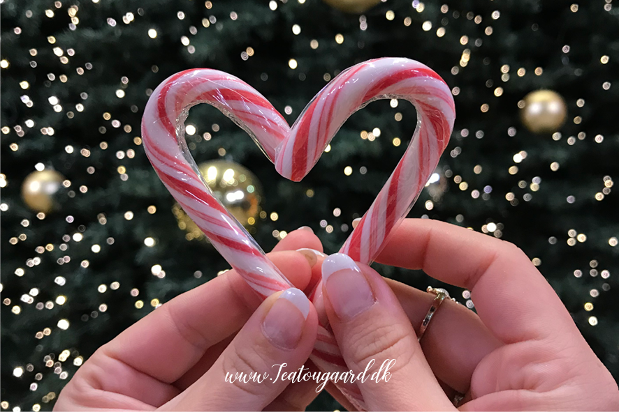 Nytår i Alanya, nytår i karantæne, nytår i Tyrkiet, Jul i Tyrkiet, Jul, nytårs planer