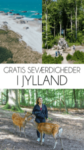 Gratis seværdigheder i Jylland, Gratis seværdigheder i midtjylland, gratis seværdigheder i Nordjylland, Dyrehaven, dyrehave århus, Marselisborg dyrehave, Dyrehaven i århus, Århus dyrehave, Marselisborg dyrehave hjorte, Hjorte i Århus, seværdigheder i Aarhus,