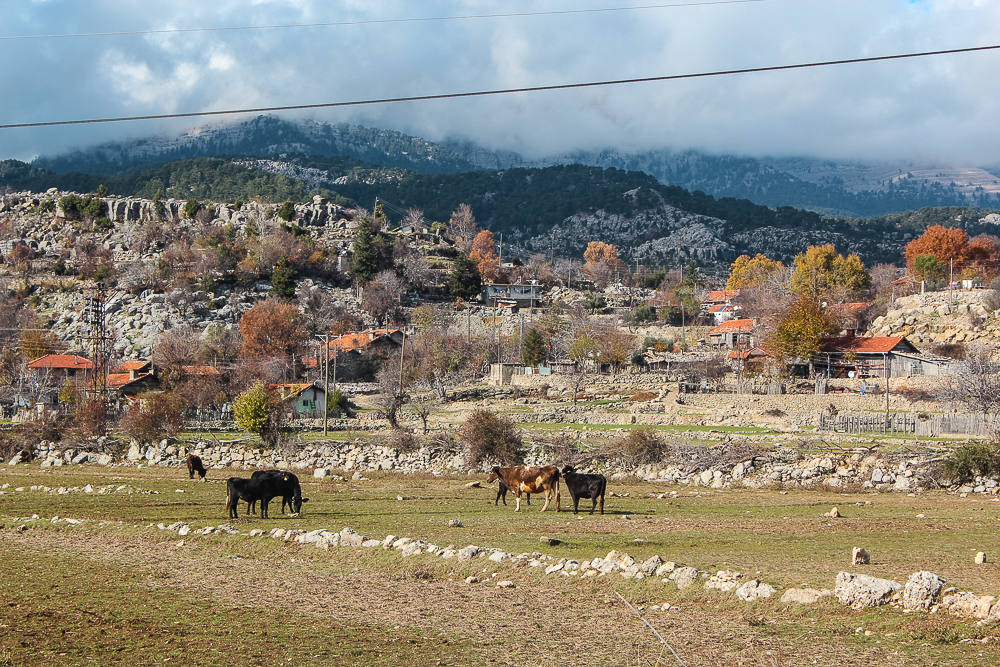 Tyrkisk landsby, landsby i Tyrkiet, afsides områder i Tyrkiet, Altinkaya landsby, 