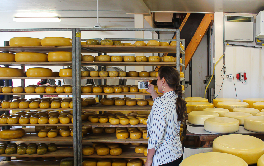 Gouda Holland, rejseblog Holland, Rejseblog gouda, danske rejseblogs, Gouda ost, Bondegård i Holland, Jongenhoeve Bondegård, Gouda Jongenhoeve, Holldanske oste