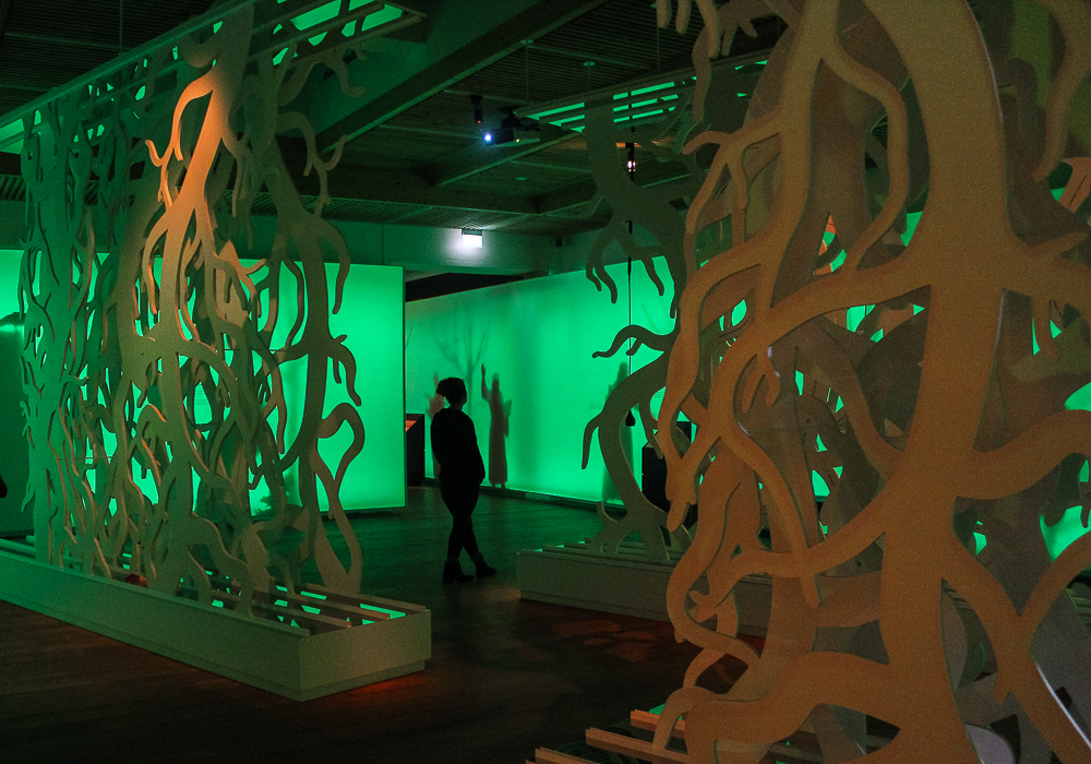 Kongernes Jelling, Jellingestenene´s museum, jellingestenen, seværdigheder i jylland, gratis seværdigheder i jylland, jylland gratis oplevelser, gratis seværdigheder i jylland, seværdigheder i vejle, seværdigheder i jelling, oplevelser i Danmark,