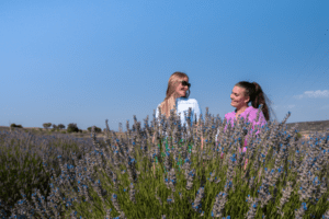 lavendel marker i Tyrkiet, lavendel marker til instagram, blomster markeder i Tyrkiet, gratis seværdigheder i Tyrkiet, unikke oplevelser i Tyrkiet, Tyrkiet seværdigheder, oplevelser i Isparta