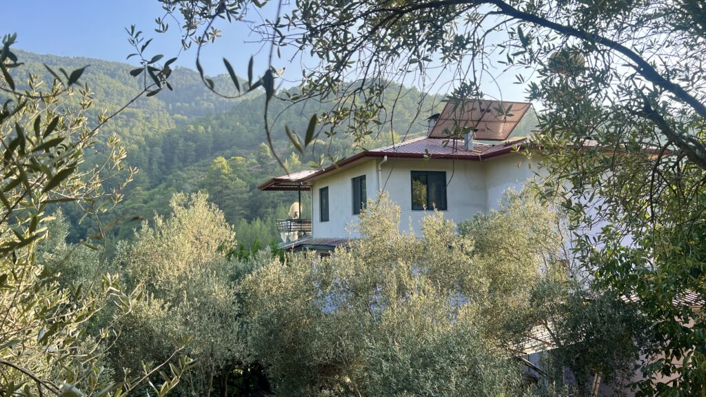 tyrkisk landsby liv, livet i Tyrkiet, livet i en tyrkisk landsby, bo i udlandet, anderledes livstil, byg hus i Tyrkiet, tyrkisk sommerhus, ladsby hus i Tyrkiet