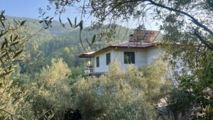 tyrkisk landsby liv, livet i Tyrkiet, livet i en tyrkisk landsby, bo i udlandet, anderledes livstil, byg hus i Tyrkiet, tyrkisk sommerhus, ladsby hus i Tyrkiet