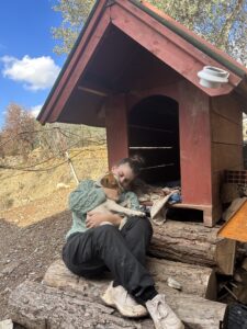 tyrkisk landsby liv, livet i Tyrkiet, livet i en tyrkisk landsby, bo i udlandet, anderledes livstil, Jack russel hund, Max Jack Russel, jagthunde,