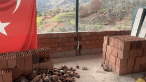 tyrkisk landsby liv, livet i Tyrkiet, livet i en tyrkisk landsby, bo i udlandet, anderledes livstil, byg hus i Tyrkiet, tyrkisk sommerhus, ladsby hus i Tyrkiet