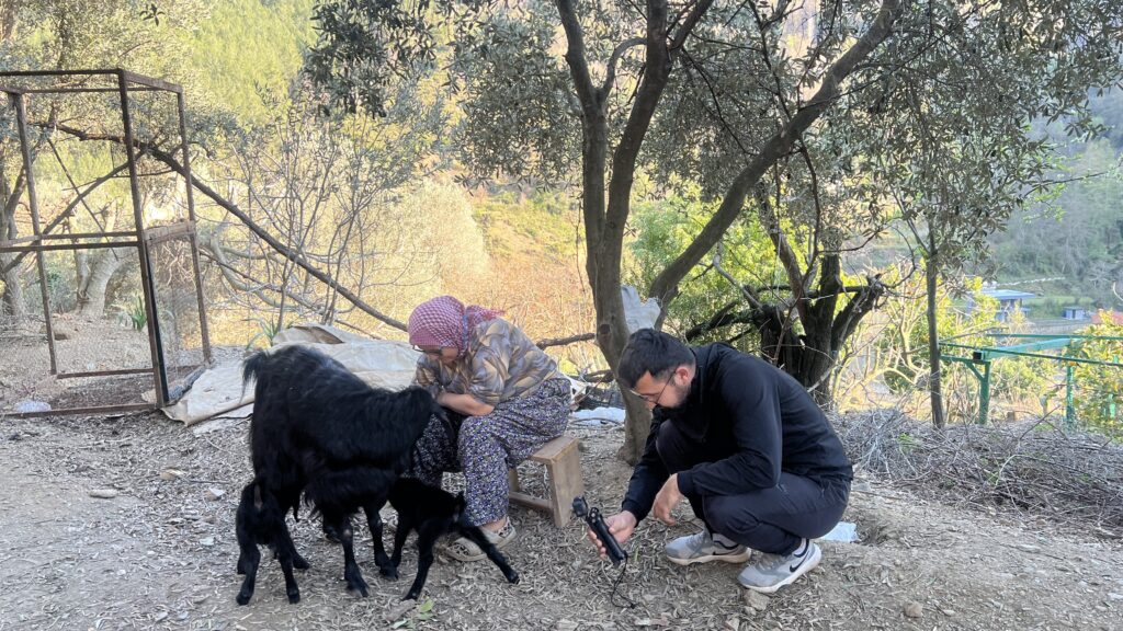 tyrkisk landsby liv, livet i Tyrkiet, livet i en tyrkisk landsby, sort ged, baby geder, gede kid, bo i udlandet, anderledes livstil,