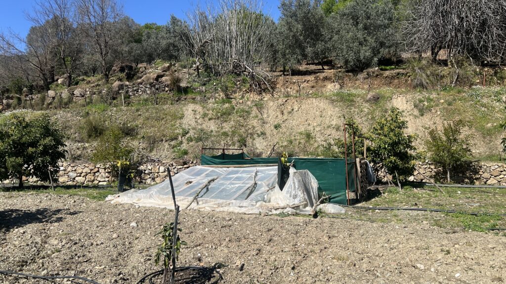 tyrkisk landsby liv, livet i Tyrkiet, livet i en tyrkisk landsby, bo i udlandet, anderledes livstil, byg hus i Tyrkiet, tyrkisk sommerhus, ladsby hus i Tyrkiet