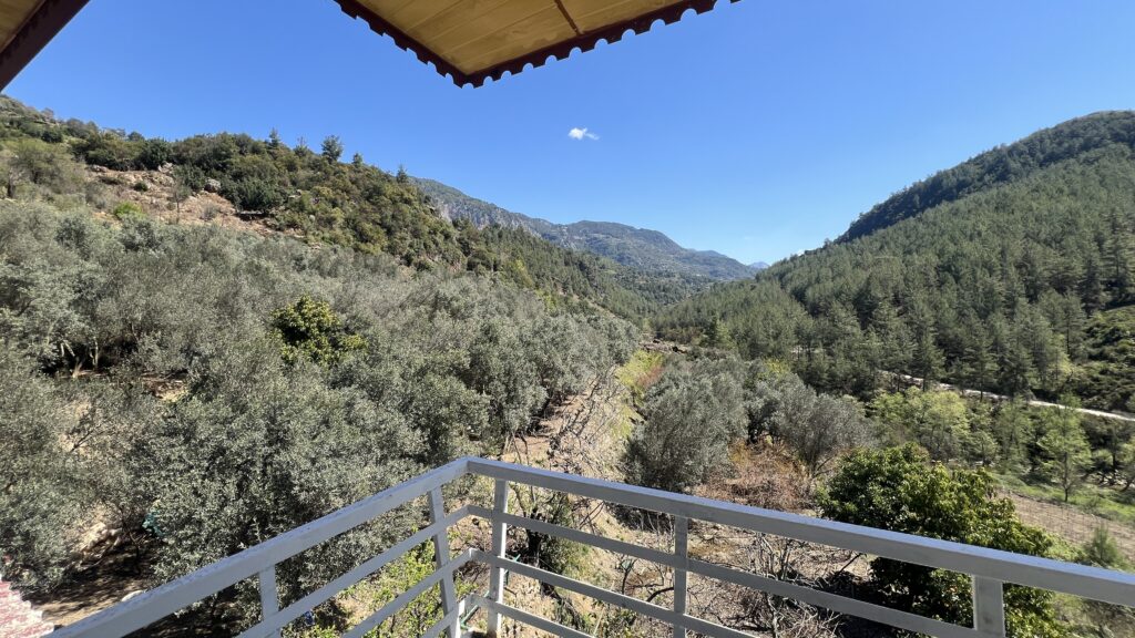 tyrkisk landsby liv, livet i Tyrkiet, livet i en tyrkisk landsby, bo i udlandet, anderledes livstil, byg hus i Tyrkiet, tyrkisk sommerhus, ladsby hus i Tyrkiet