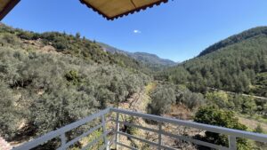 tyrkisk landsby liv, livet i Tyrkiet, livet i en tyrkisk landsby, bo i udlandet, anderledes livstil, byg hus i Tyrkiet, tyrkisk sommerhus, ladsby hus i Tyrkiet