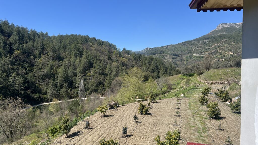 tyrkisk landsby liv, livet i Tyrkiet, livet i en tyrkisk landsby, sort ged, baby geder, gede kid, bo i udlandet, anderledes livstil, 