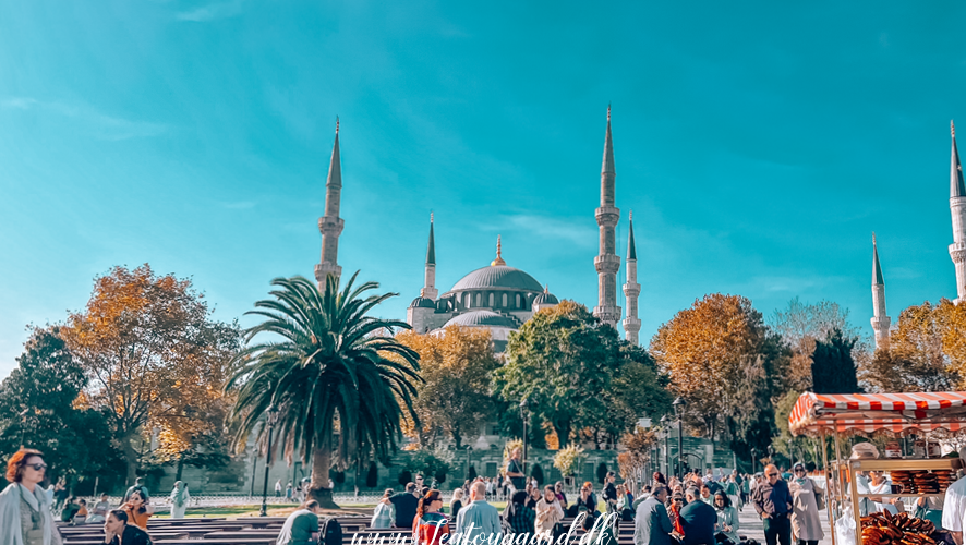 Den blå moske, sultan ahmet moske, Istanbul moskeer, historiske seværdigheder i Istanbul, seværdigheder i Istanbul, gratis seværdigheder i Istanbul, oplevelser i Istanbul, 6 minaret moske, guide til den blå moske