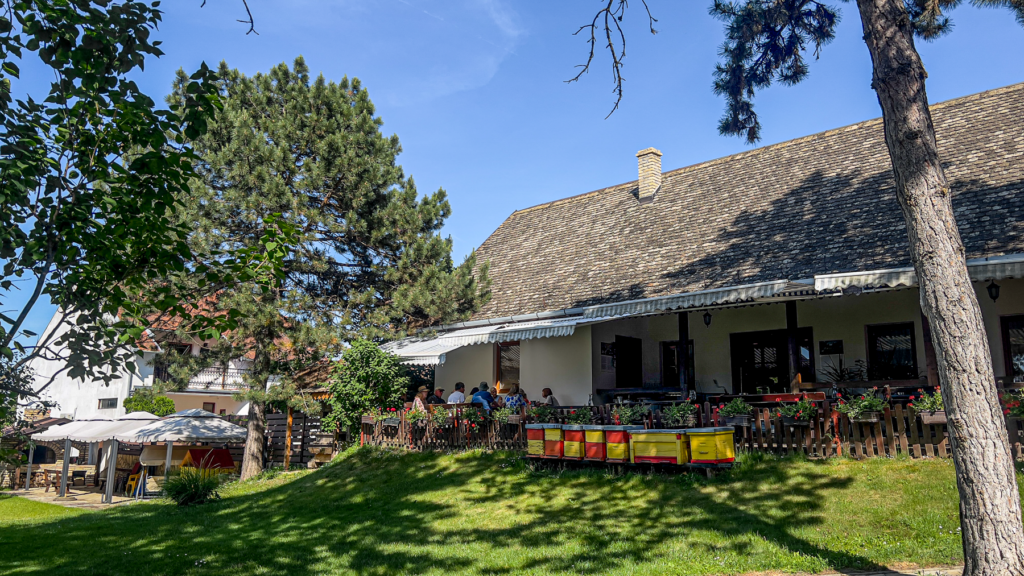 Zivanovic, Bermet-vin, serbisk Bermet-vin, Novi Sad, byer i Serbien, seværdigheder i Serbien, Flodkrydstogt, Donau flodkrydstogt, flodkrydstogt på Donau floden, Guidet tur i Novi sad, seværdigheder i Novi Sad, danske rejser til Serbien,